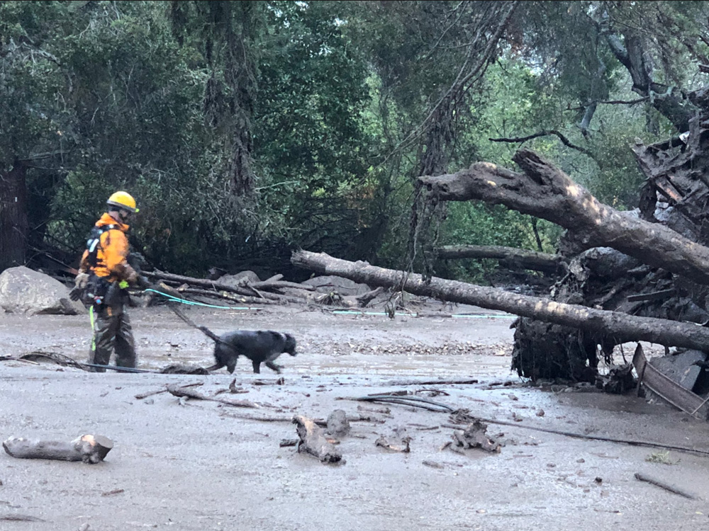 <div class='meta'><div class='origin-logo' data-origin='none'></div><span class='caption-text' data-credit='EliasonMike/Twitter'>"Scene from the 300 block of Hot Springs Road in Montecito following debris and mud flow due to heavy rain."</span></div>