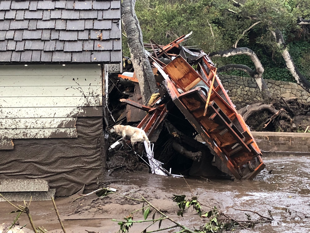<div class='meta'><div class='origin-logo' data-origin='none'></div><span class='caption-text' data-credit='EliasonMike/Twitter'>"Santa Barbara County Fire Search Dog Reilly looks for victims in damaged and destroyed homes in Montecito following deadly runoff of mud and debris from heavy rain overnight."</span></div>
