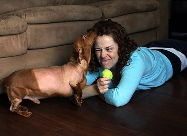 Propietario de Dennis, Brooke Burton, dijo que el perro ha sufrido cirugía de extirpación de la piel.  <Span class = meta> Odyssey Dennis '/ Brooklyn Burke / Facebook </ span>