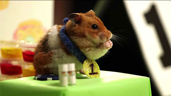 CUTE VIDEO: Competitive eater Takeru Kobayashi takes on tiny hamster in hot dog eating contest