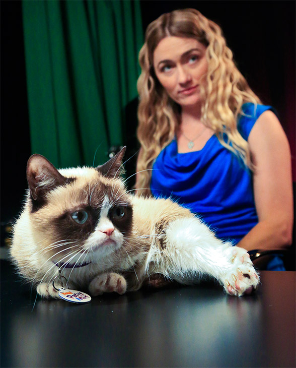 Grumpy Cat's owner quit her day job, but denies claim the crabby feline has made 100 million