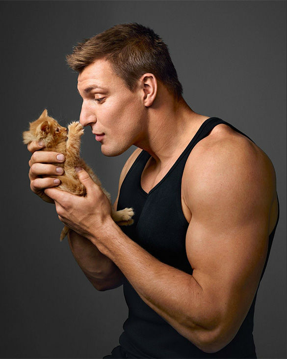 121114-cc-gronk-kittens2.jpg