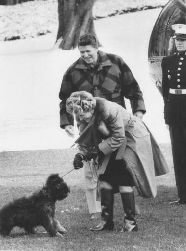 <div class='meta'><div class='origin-logo' data-origin='AP'></div><span class='caption-text' data-credit=''>First Lady Nancy Reagan with the president looking on, tugs on the leash of the Reagan's new dog "Lucky",  in 1985.</span></div>