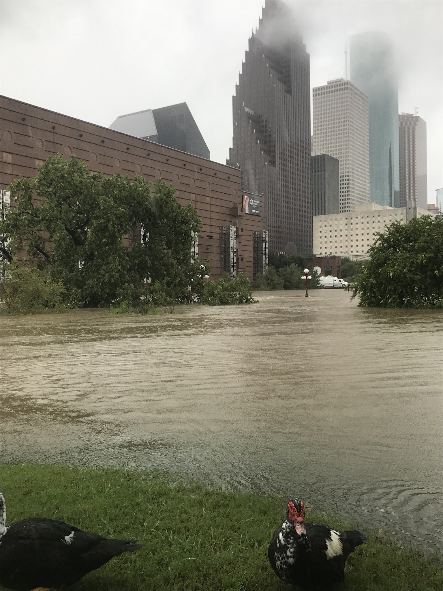 PHOTOS: Historic flooding devastates the Houston area | abc13.com1536 x 2048