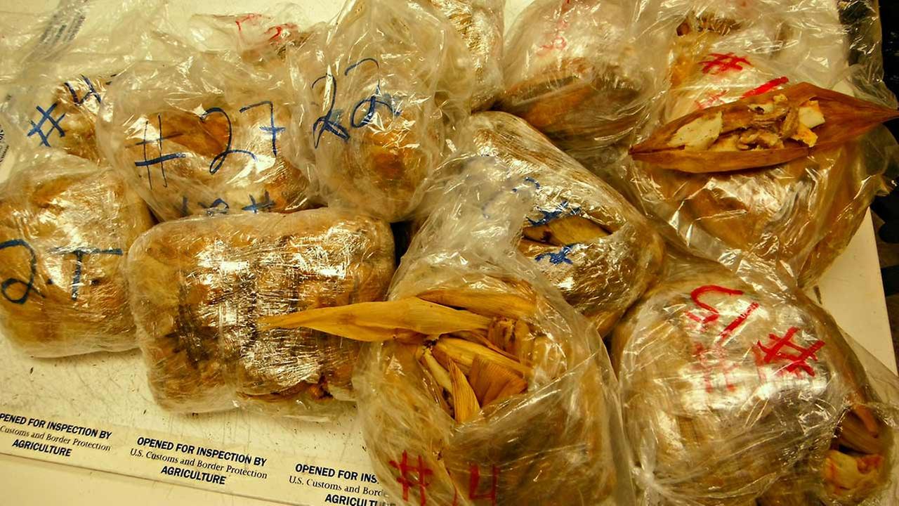450 illegal pork tamales from Mexico seized from passenger at LAX