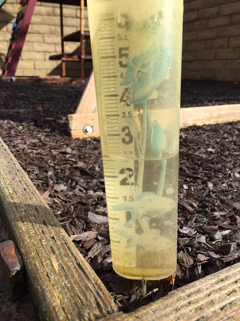 ABC7 viewer Andy Russell shows 2.5 inches of rain hit Saugus in Santa Clarita Valley as of 11 a.m. on Friday, Dec. 12, 2014 <span class=meta>Andy Russell, Twitter</span>
