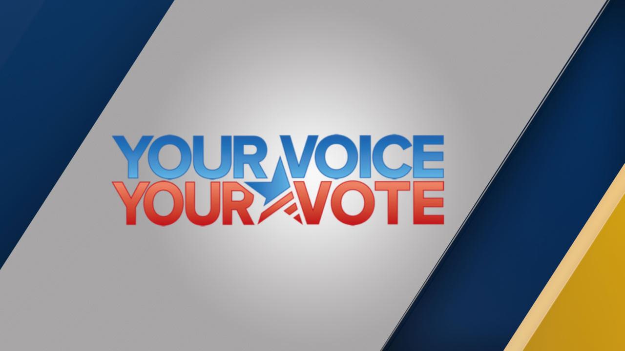 2018 Los Angeles Local Election Results Politics