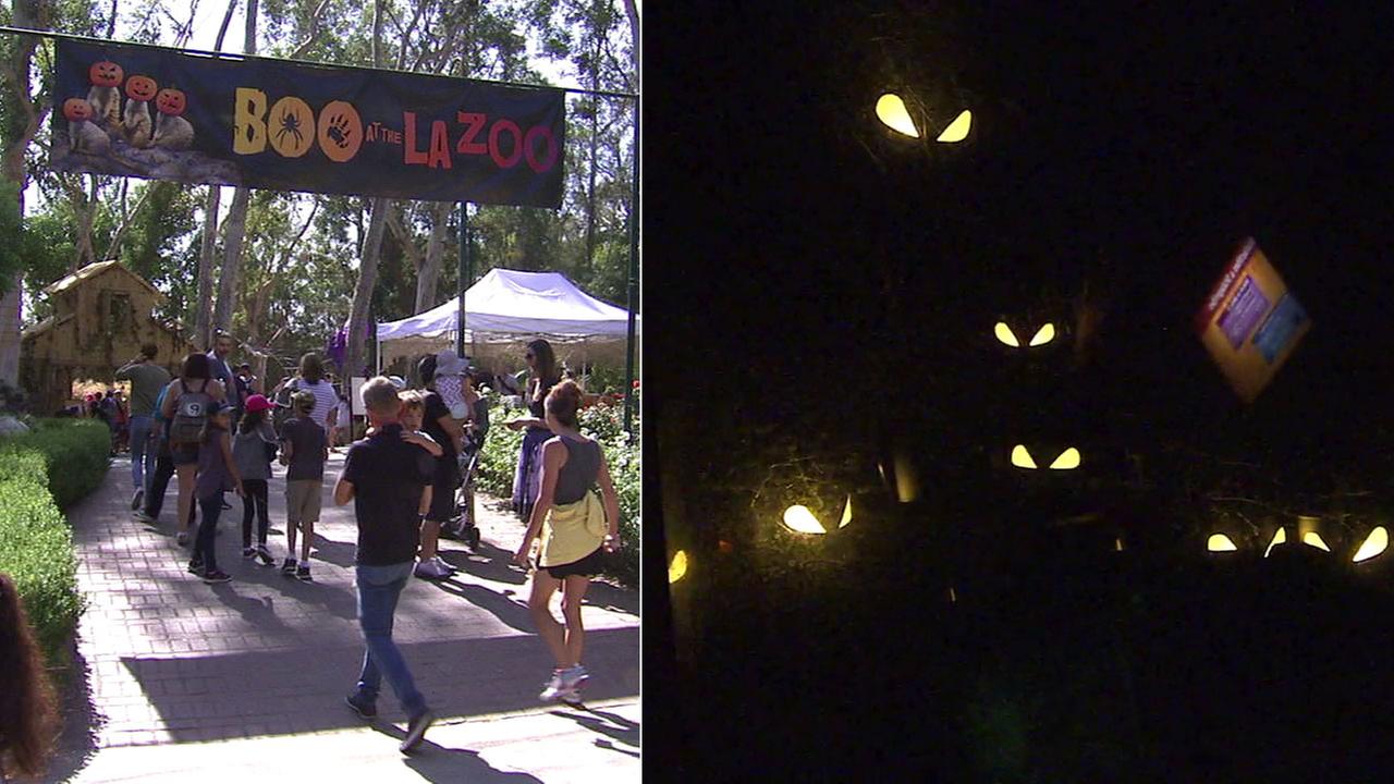 'Boo At The LA Zoo' Spooktacular Event To Be Held All Of October | Abc7.com