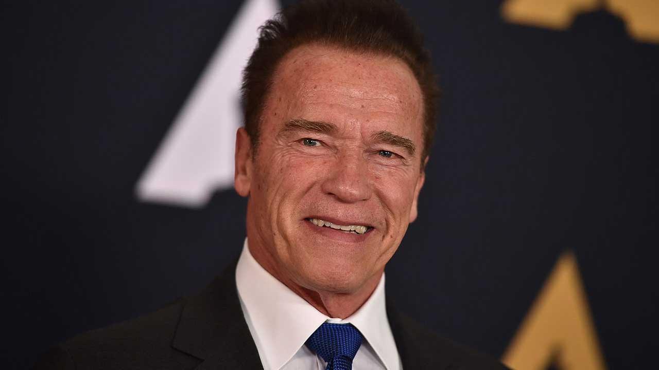 arnold schwarzenegger celebrity to politician essay arnold schwarzenegger celebrity to politician essay