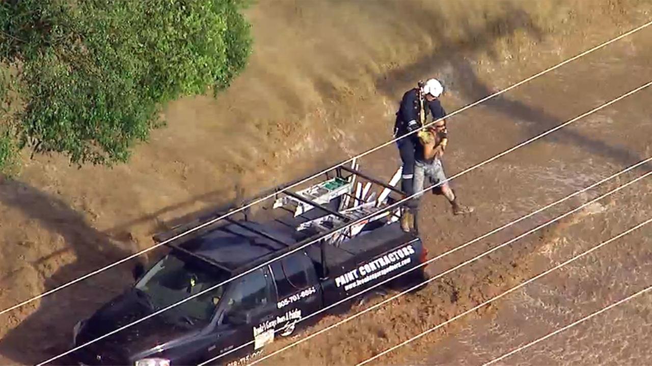 Adorable SoCal rescue dog gets InNOut 'animal style'