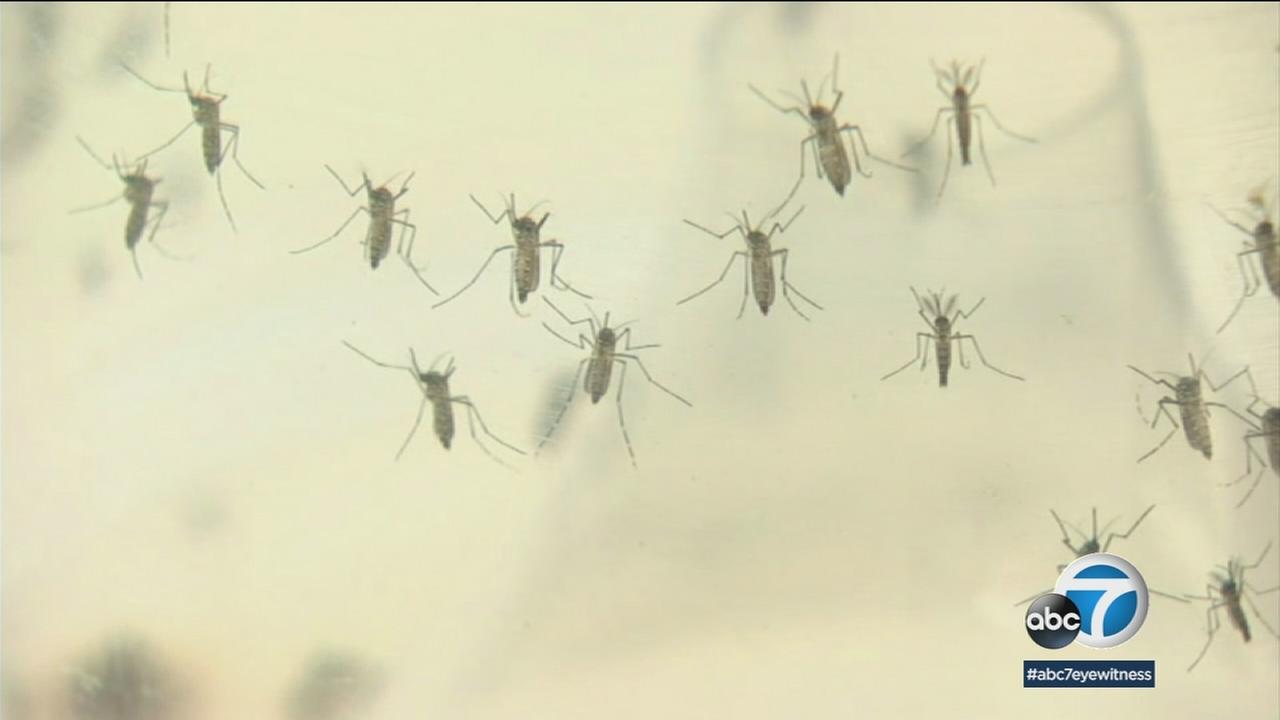 Health officials confirm first human West Nile Virus illnesses of 2018