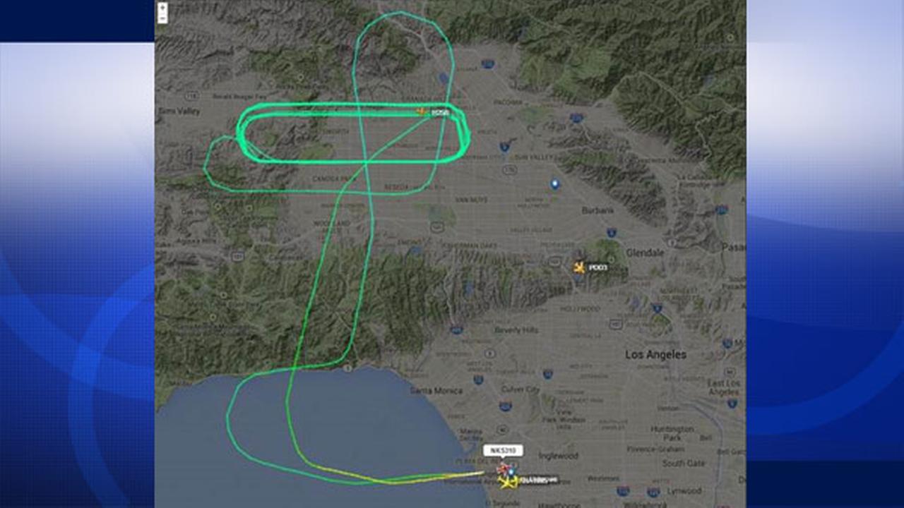 Bird strike forces Spirit Airlines flight back to LAX