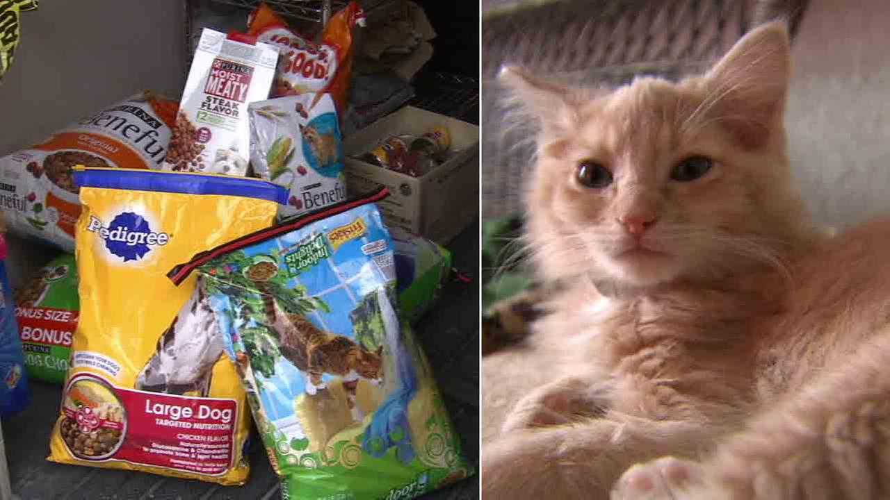 spcaLA pet food reserves running dangerously low - KABC-TV