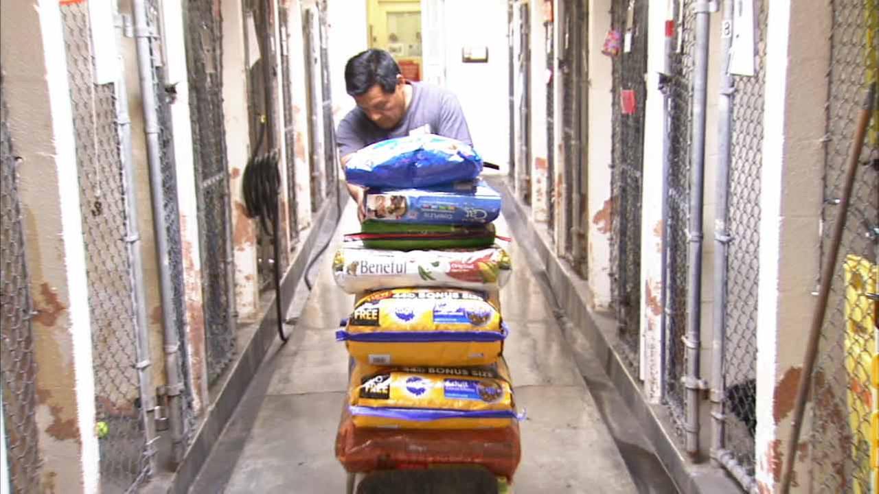 SpcaLA gets help from ABC7 viewers with pet food shortage - KABC-TV