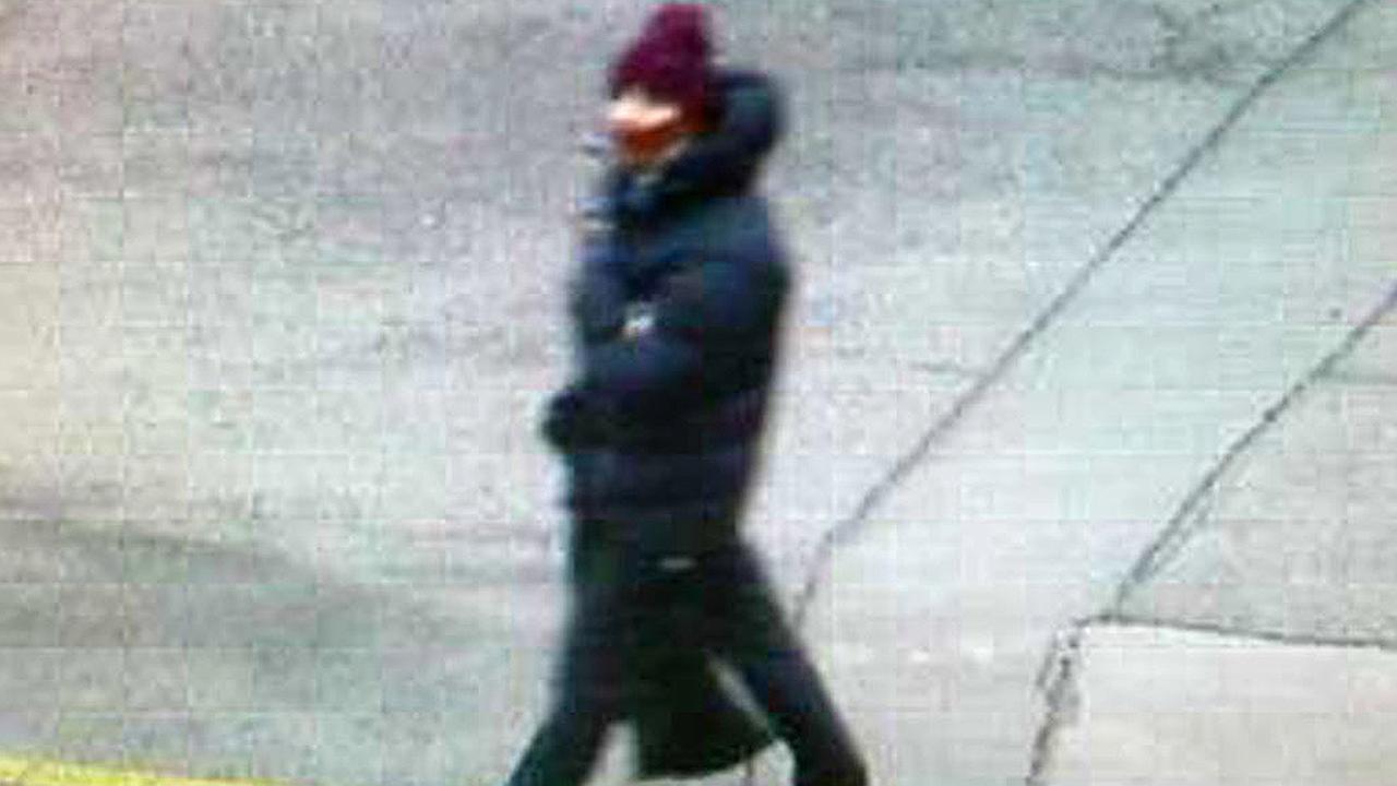 Police say Copenhagen gunman had criminal record - KABC-TV