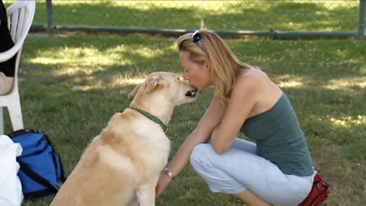 Why do dogs 'love' humans? Answer may be oxytocin hormone