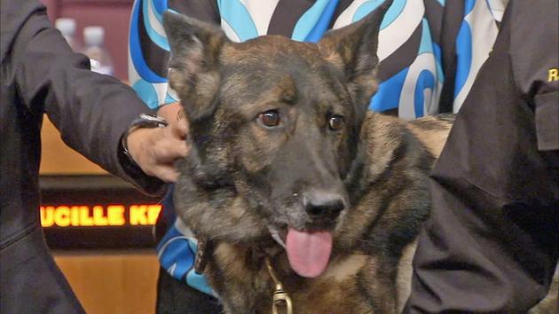 Bruno, a beloved police K-9, has officially retired from the Anaheim Police Department. He got a big sendoff at the Anaheim City Council meeting on Tuesday, May 13, 2014.