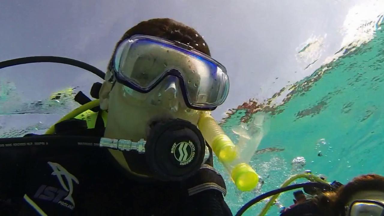 Scuba diving jobs in california