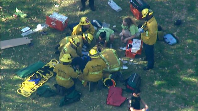 Firefighters work on an injured victim after a tree fell near Kidspace Children's Museum next to the Rose Bowl in Pasadena Tuesday, July 28, 2015. <span class=meta></span>