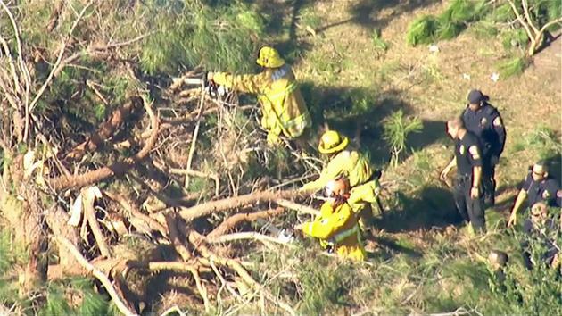Firefighters saw the branches off a tree that fell near Kidspace Children's Museum next to the Rose Bowl in Pasadena Tuesday, July 28, 2015. <span class=meta></span>
