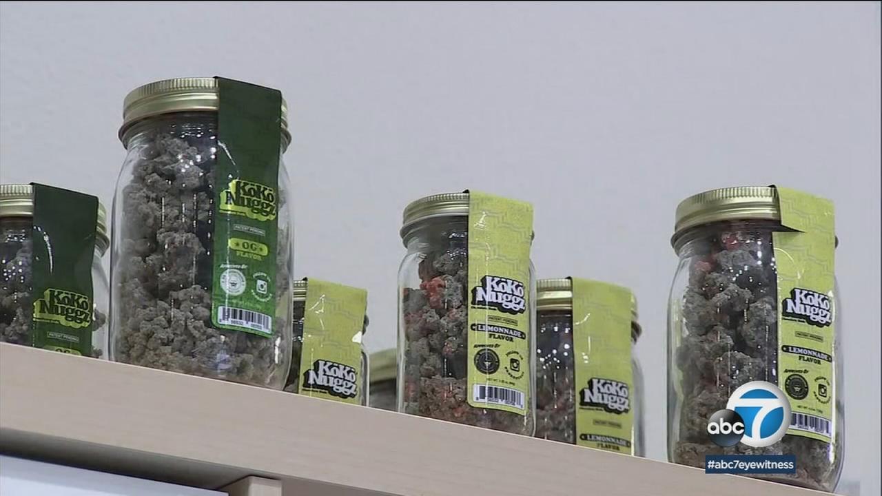 The tiny city of Maywood is jumping in on the cannabis craze, hoping it will result in big profits. 