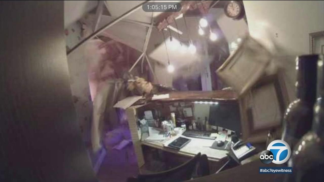 OC explosion was no accident; blast came from device, officials say