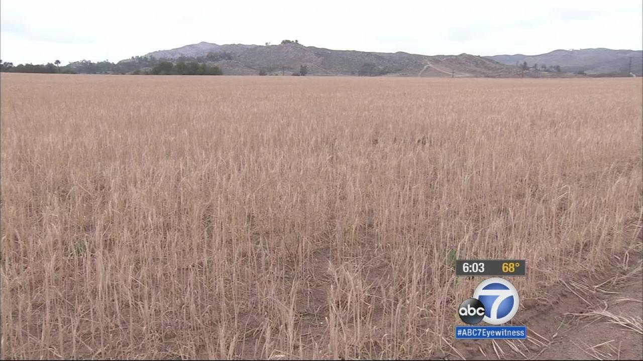 riverside-county-turns-to-water-conservation-during-drought-abc7