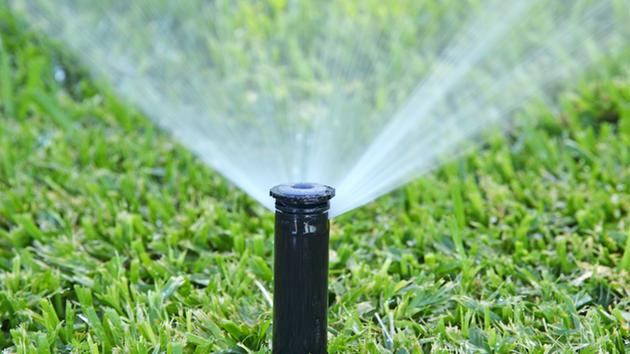 A sprinkler waters grass in an undated file photo.