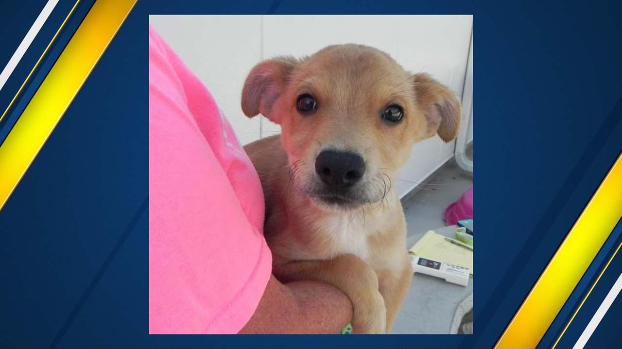 Hi! My name is Kale!