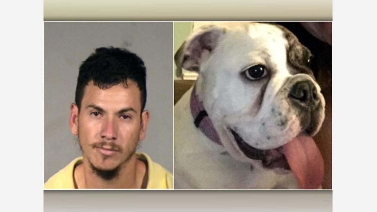 Pet thief punished for burglaries targeting bulldogs