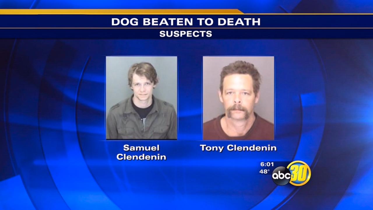 Father and son found guilty of animal cruelty