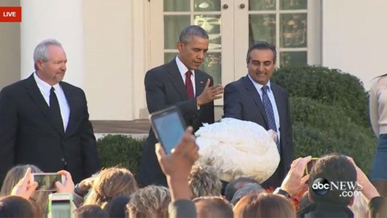 Two North Valley Turkeys pardoned by President Obama