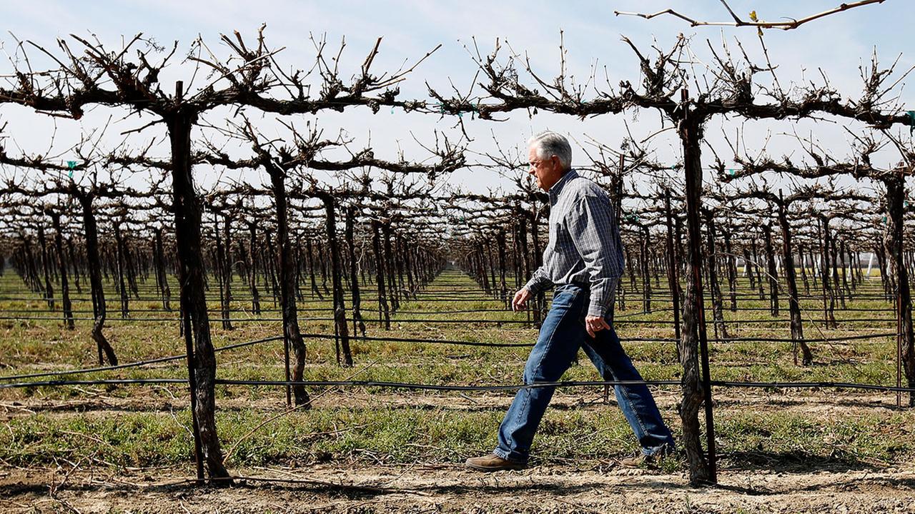 Drought-stricken California ponders future of conservation