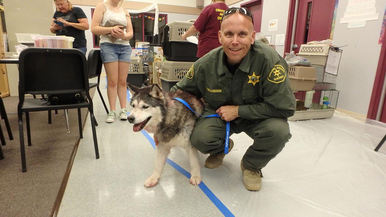 Dog rescued from Prather wildfire by Fresno County Sheriff's Deputies