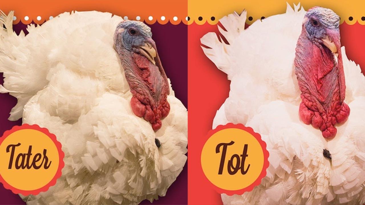 President Obama's Final Turkey Pardon