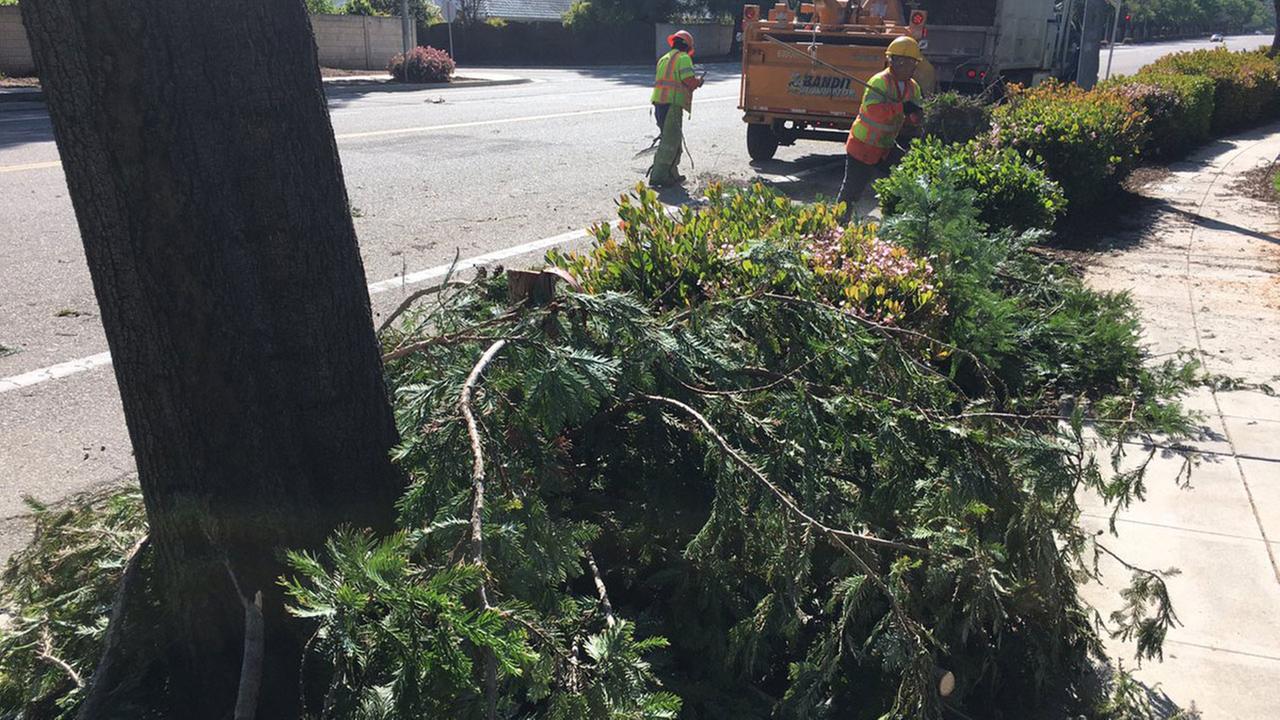 PG&E reports 2,600 customers without power in Fresno area due to wind damage