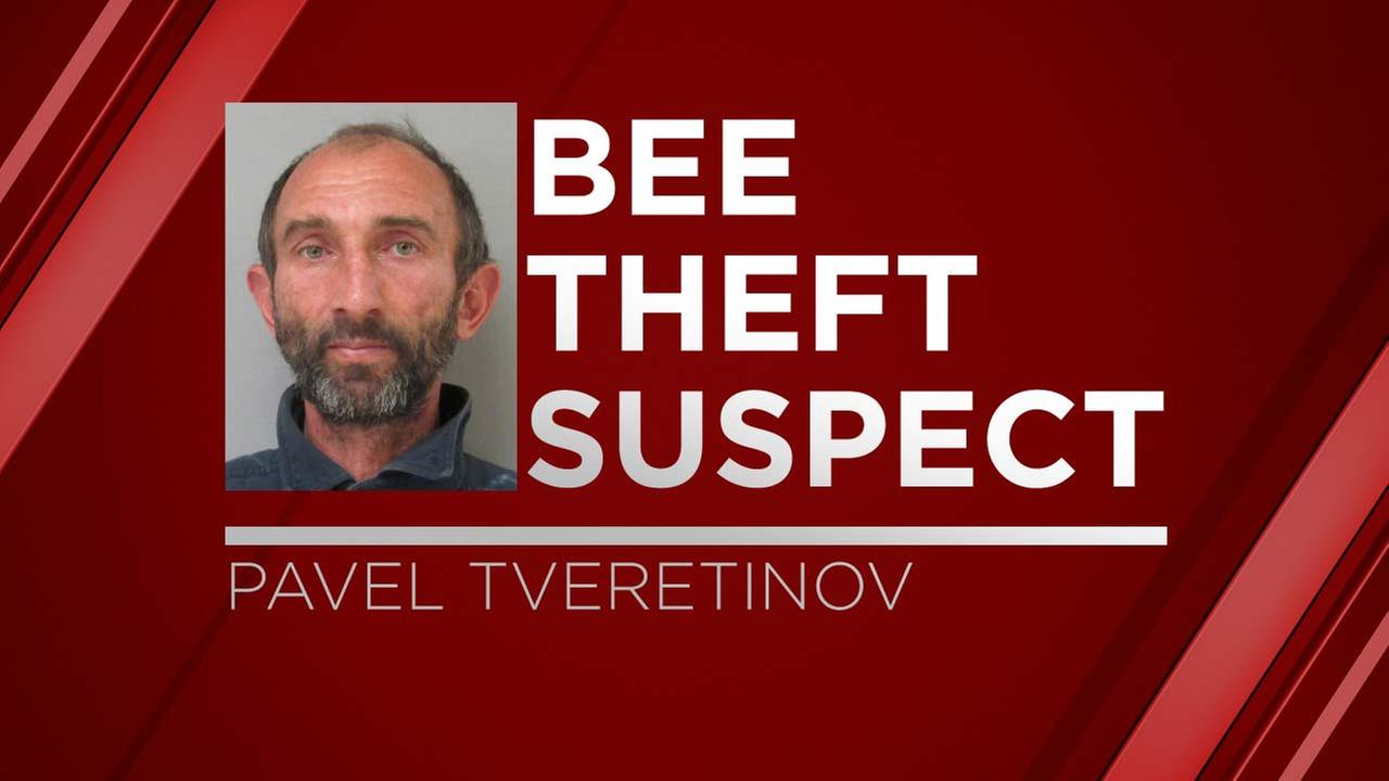 Sacramento man accused of stealing nearly $1 million in bees