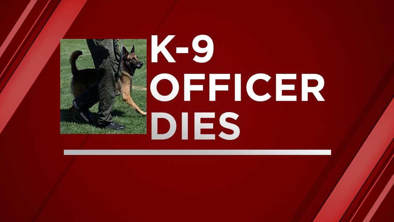 Tulare County Sheriff's Department says K-9 officer passes away