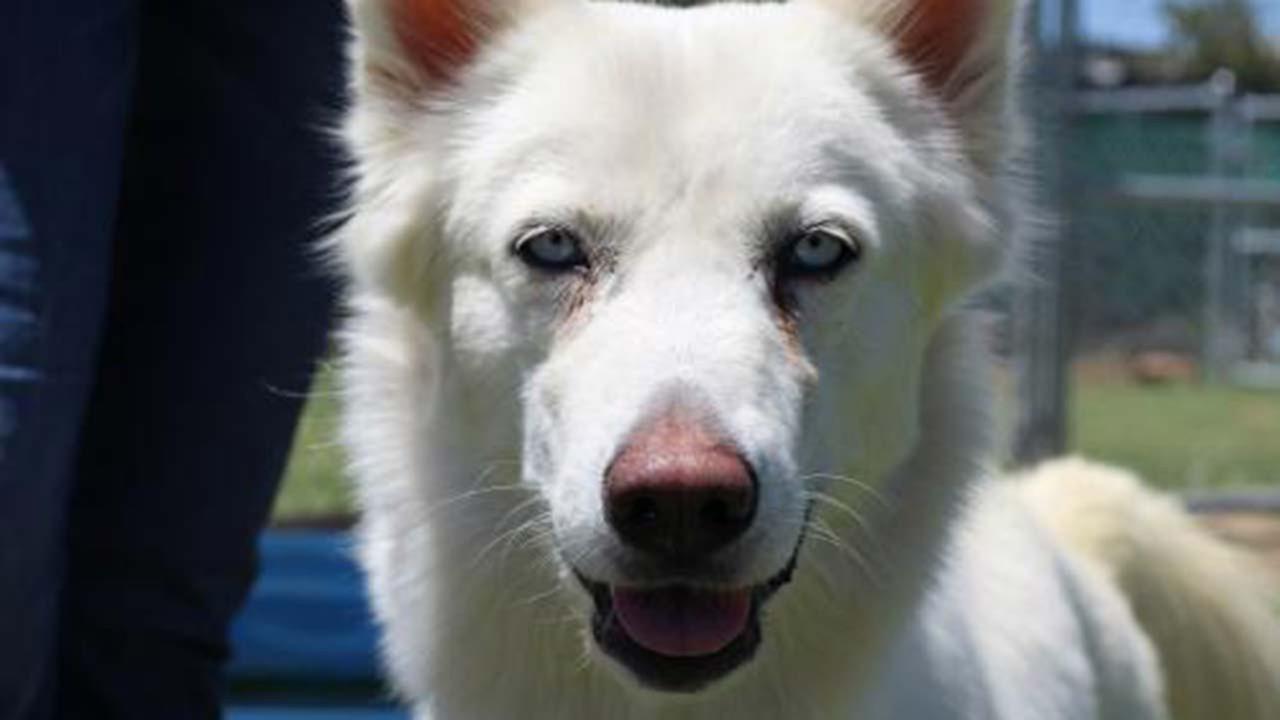 Hi! Im Zamaya