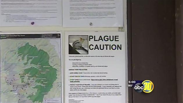 FILE - Plague warnings at Yosemite National Park