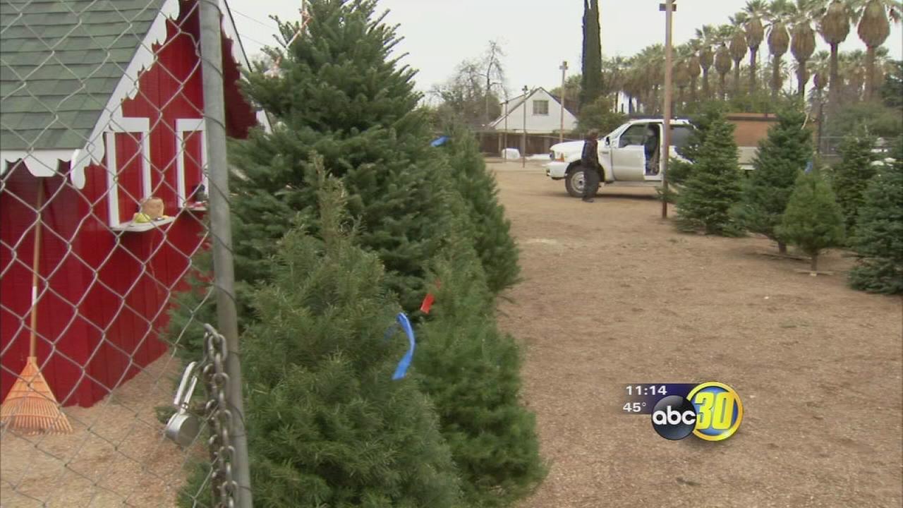 abc30 news kfsn fresno and central valley news abc30 news kfsn fresno and central valley news