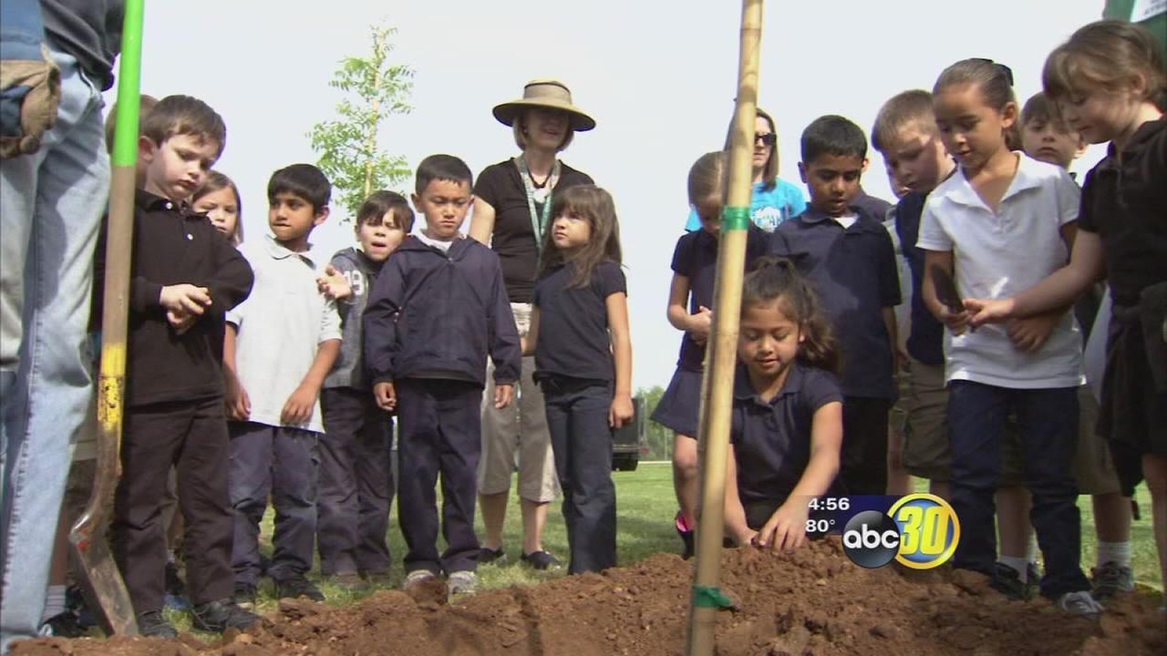Quail lake lunch menu picture