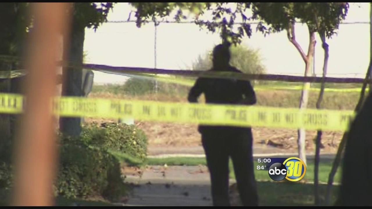 Massive police bust targets Fresno gang, mostly for financial & sex crimes - KFSN-TV