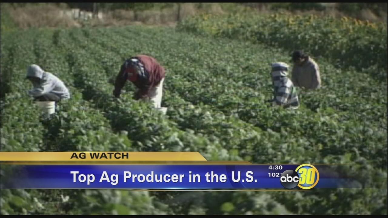Tulare County overtakes Fresno County in Ag production