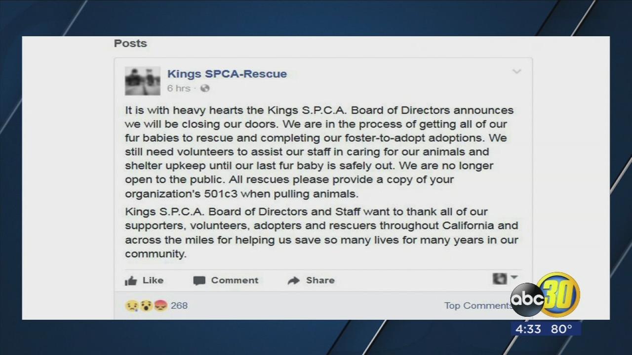 Kings SPCA closing after 60 years of service