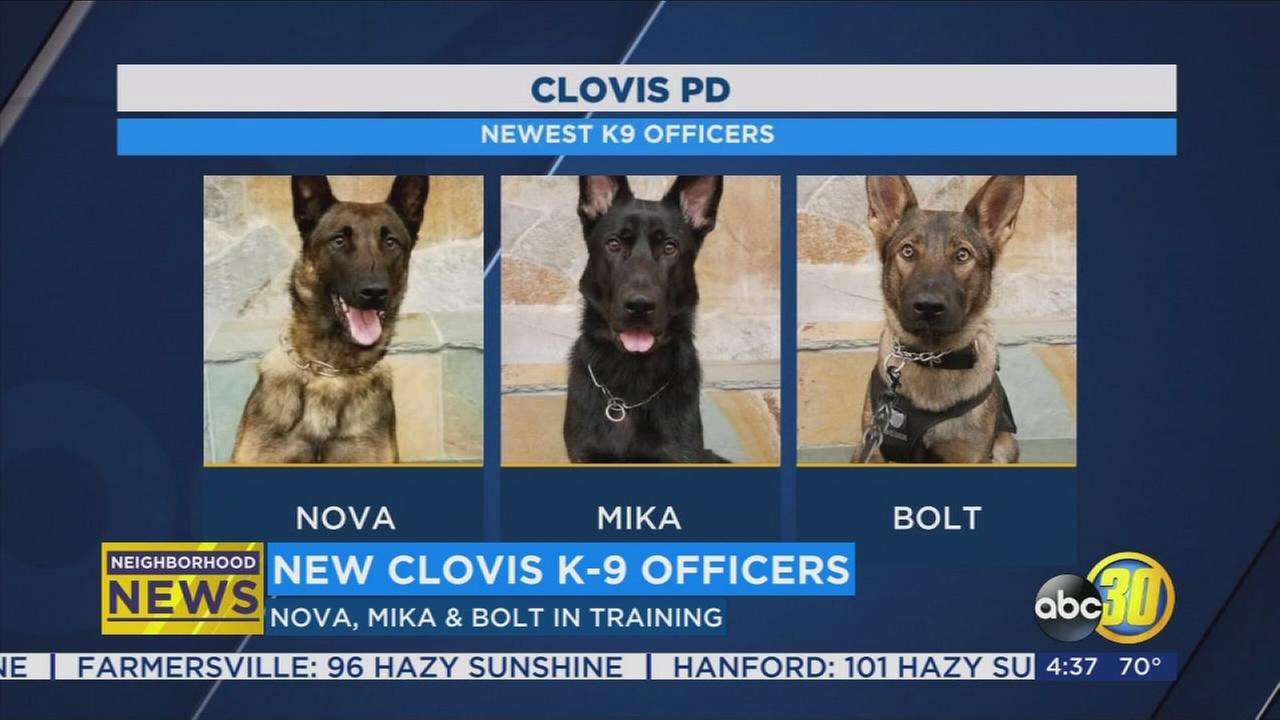 Clovis Police welcome new K-9 officers