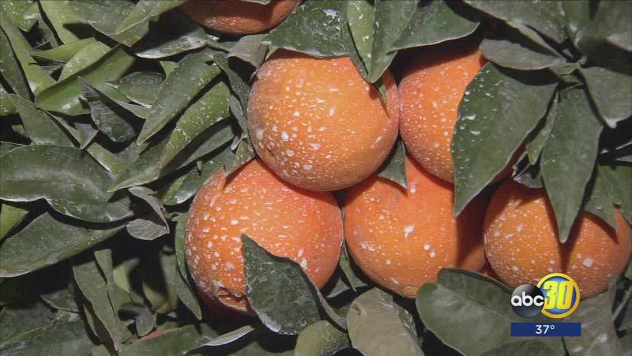 Temperatures expected to dip under freezing mark overnight