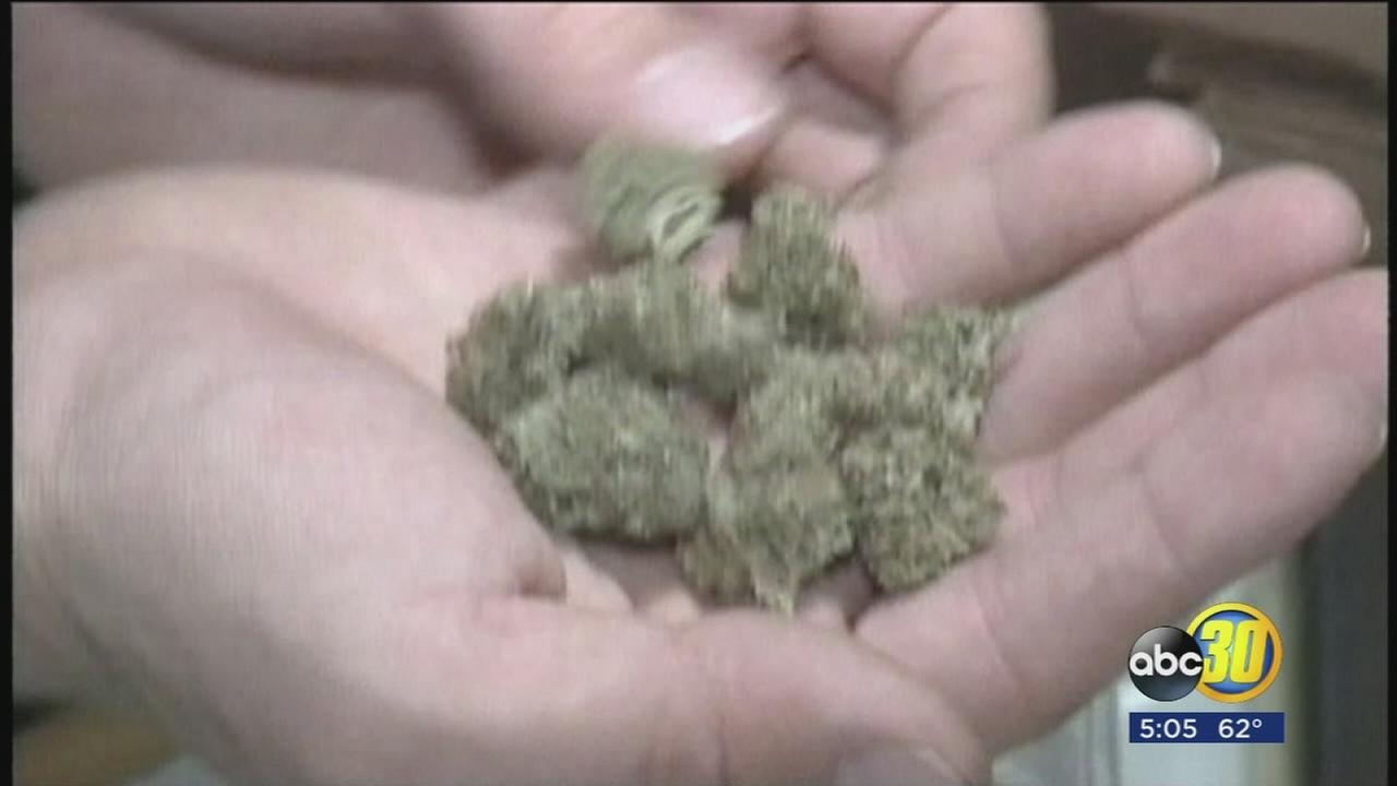 pot taxes