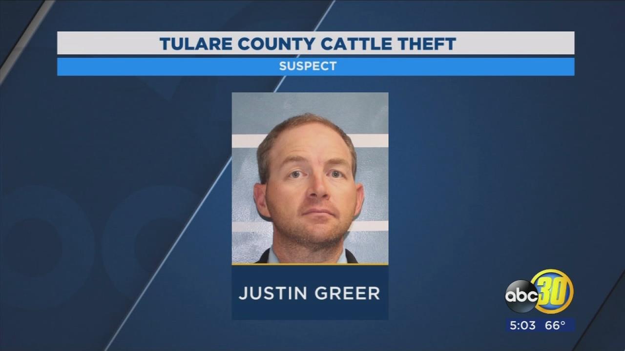 Tulare County Sheriffs Office announces major cattle theft arrest that amounts to $1.5M in losses