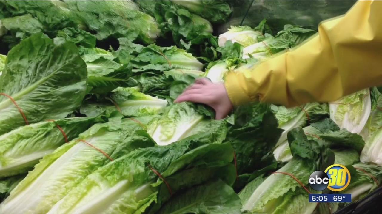 Investigators face difficulty in tracking E. coli outbreak linked to romaine lettuce